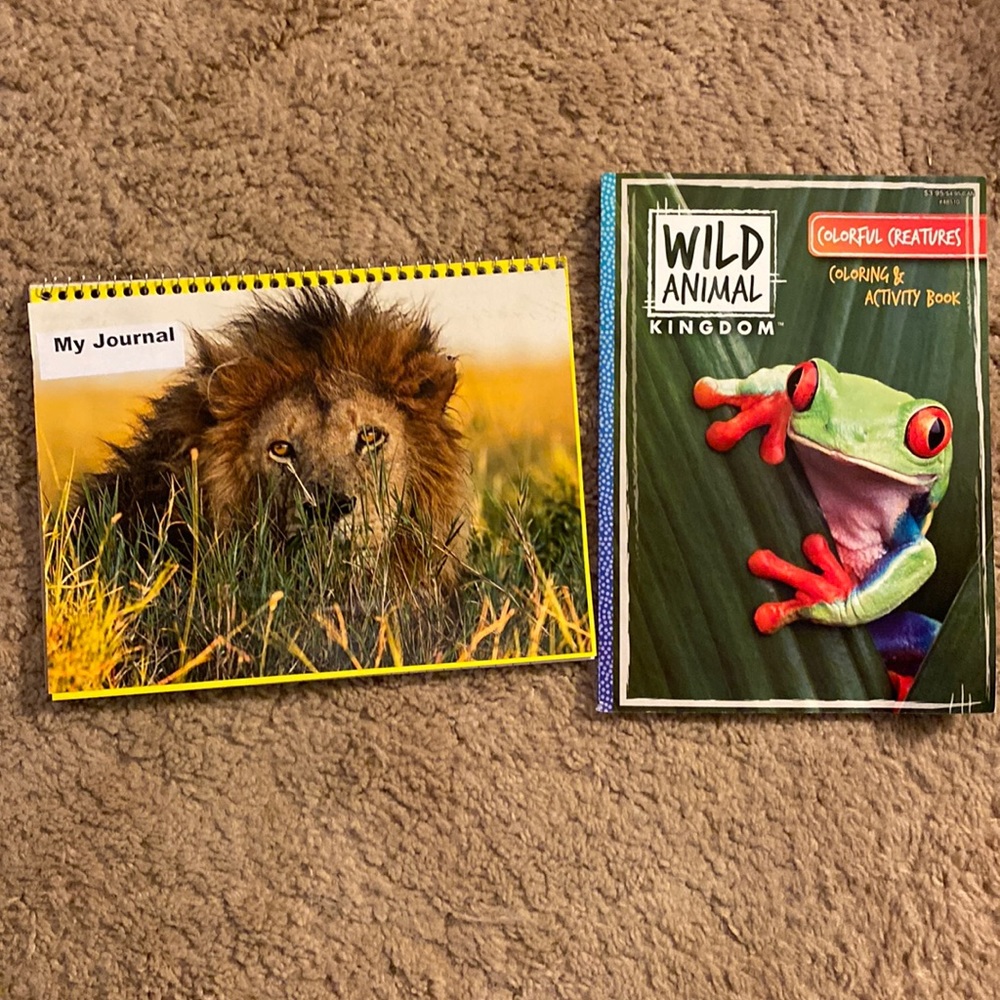 Journal and a coloring book